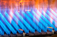 Cyffylliog gas fired boilers